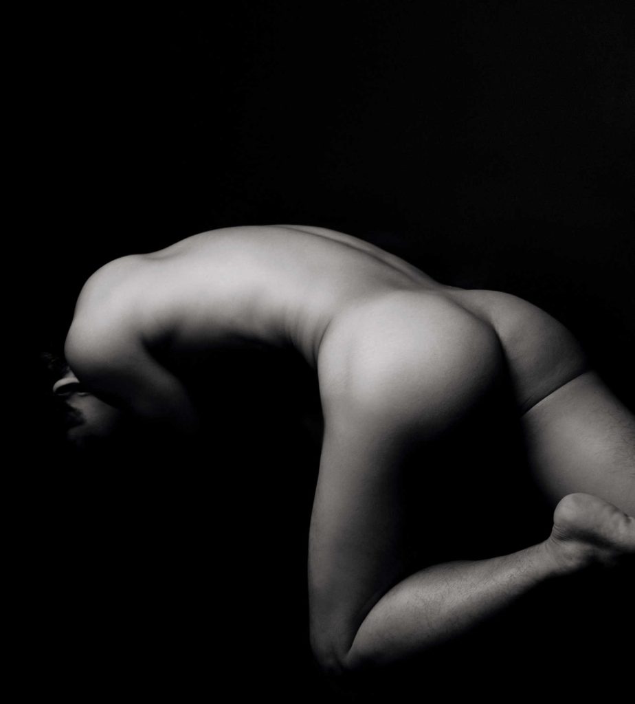 Elmet NYP 478 Main Rgb Web2 924x1024